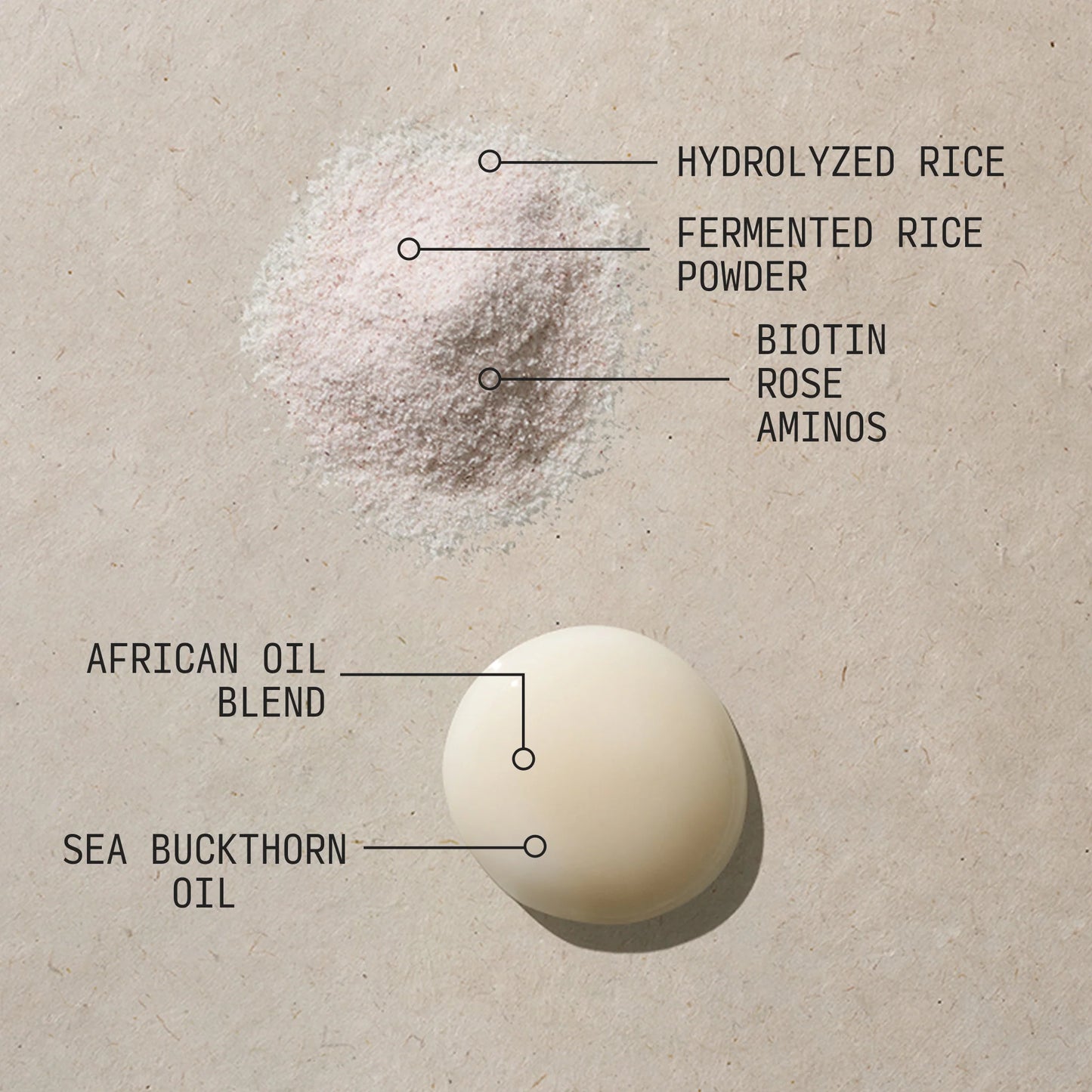 FERMENTED RICE & ROSE PROTEIN RITUAL