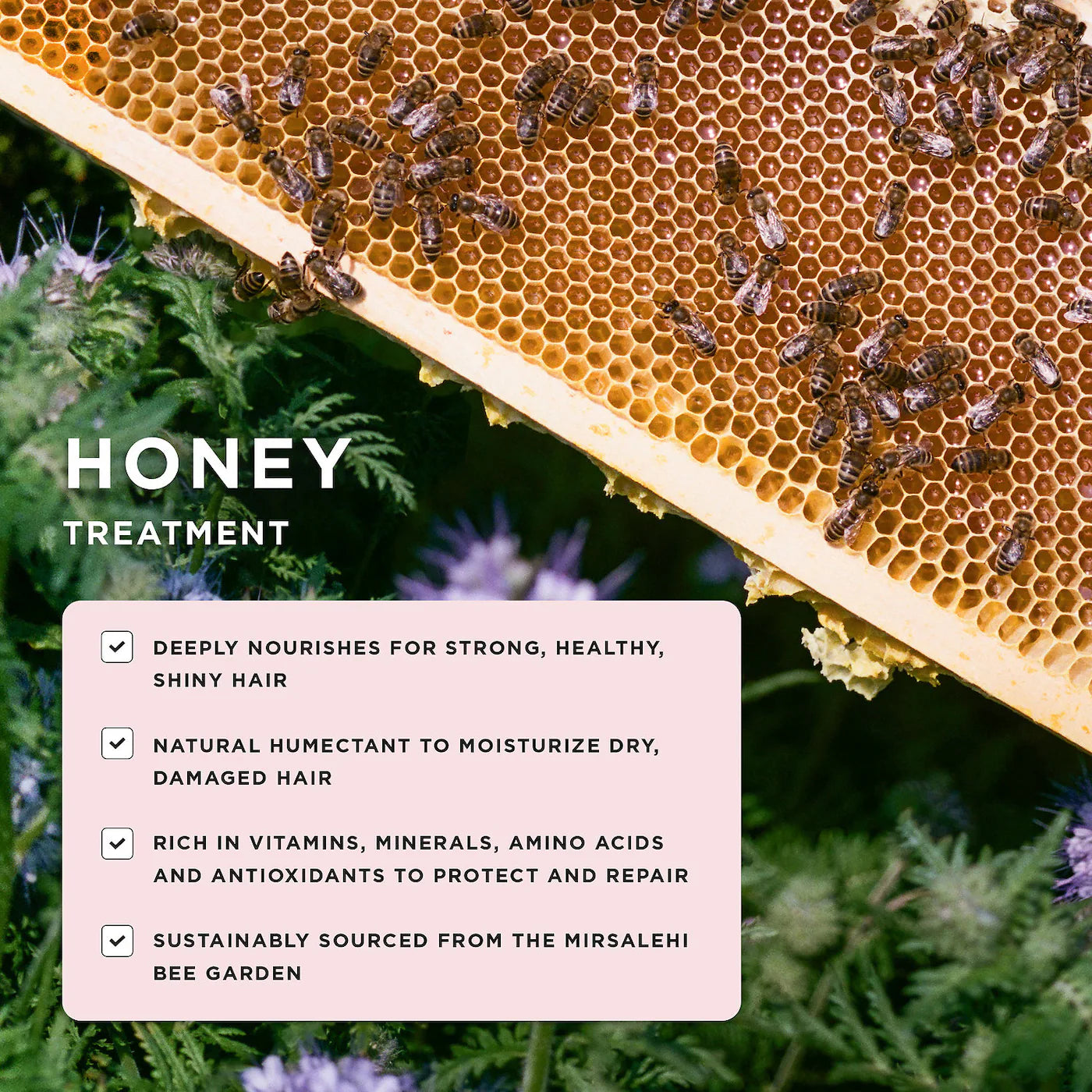 Gisou  Honey Infused Scalp Treatment Serum