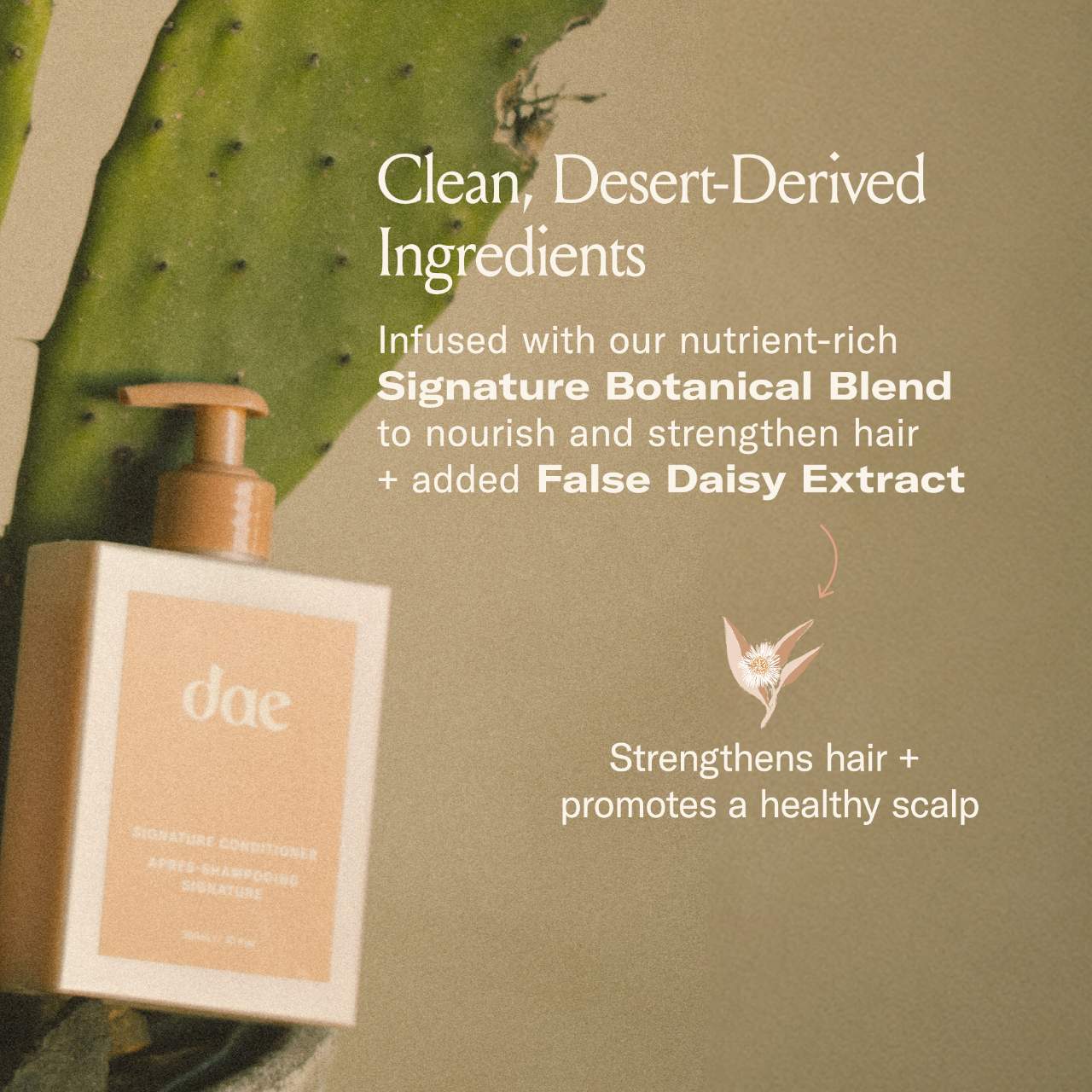 dae  Signature Conditioner