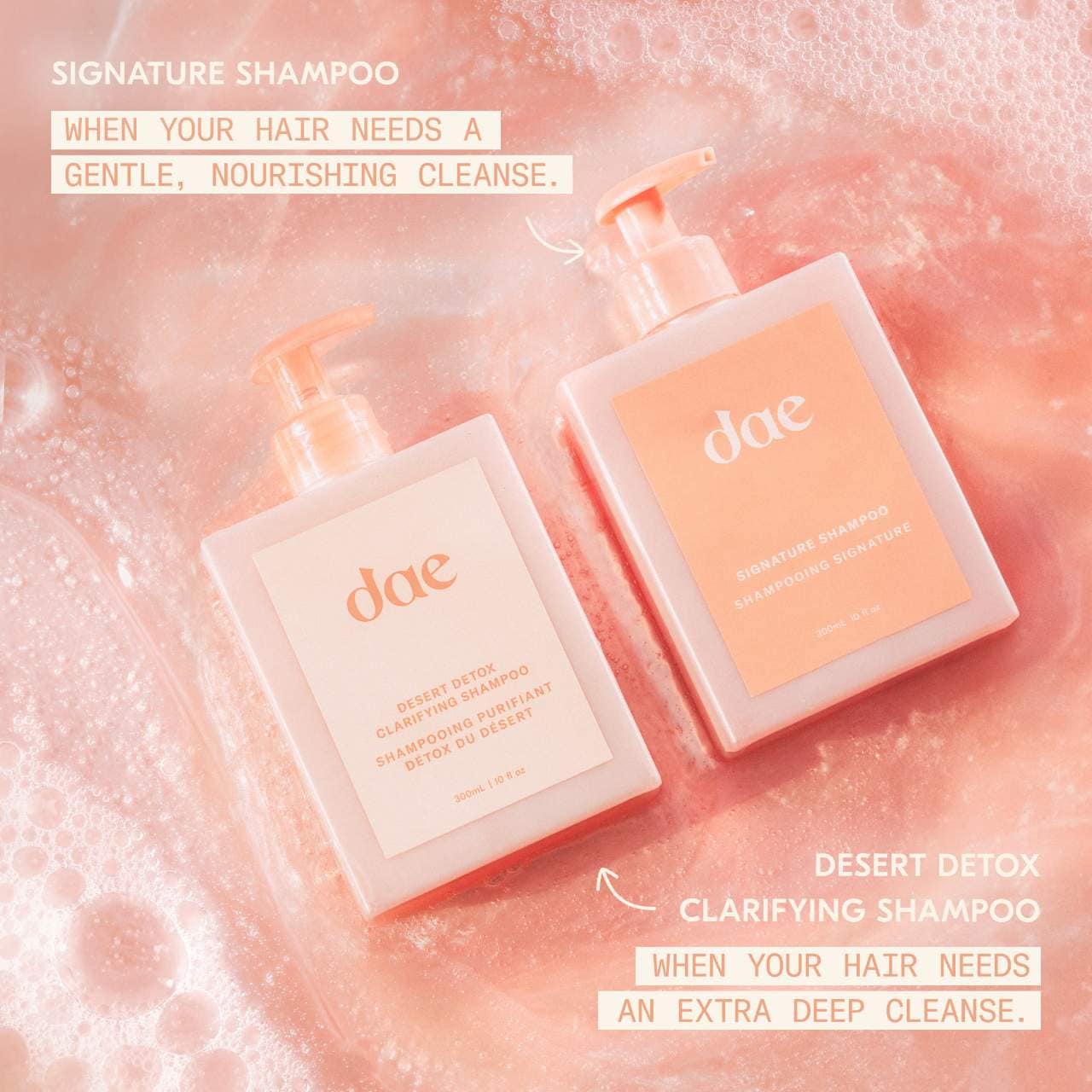 dae  Signature Shampoo