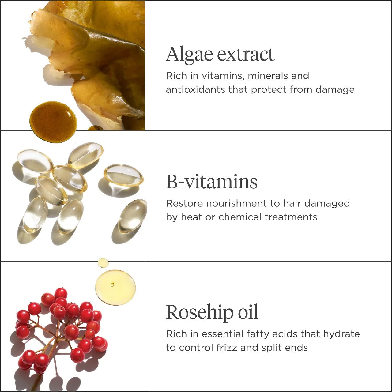 Briogeo  Don't Despair, Repair!™ Strengthen + Repair Travel Kit