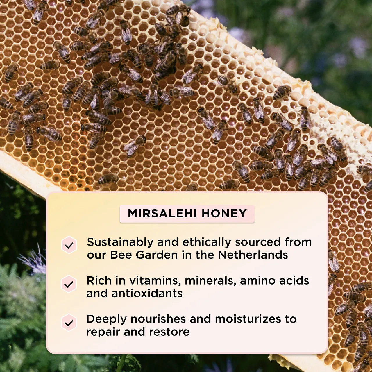 Gisou  Honey Infused Leave-In Conditioner