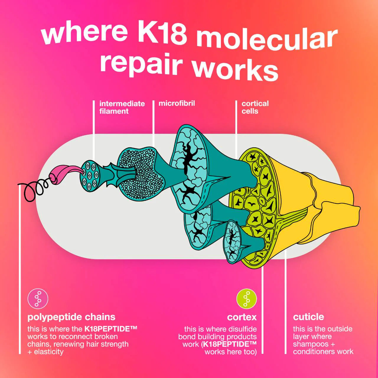 K18 Biomimetic Hairscience  Leave-In Molecular Repair Hair Mask