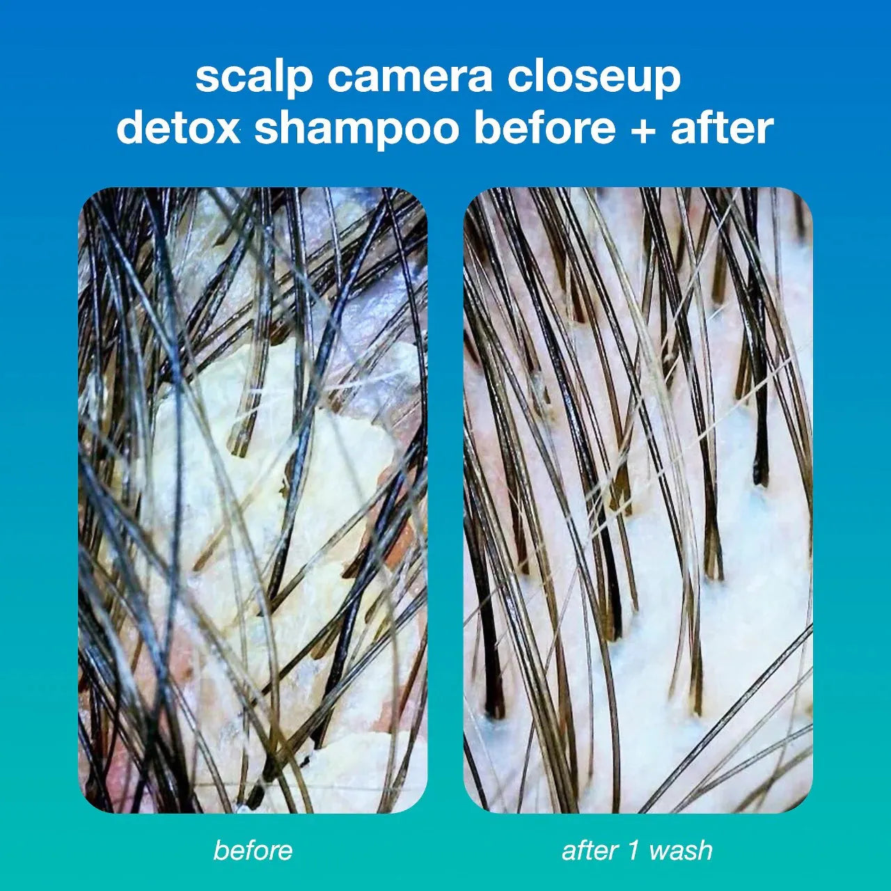 K18 Biomimetic Hairscience  PEPTIDE PREP™ Clarifying Detox Shampoo