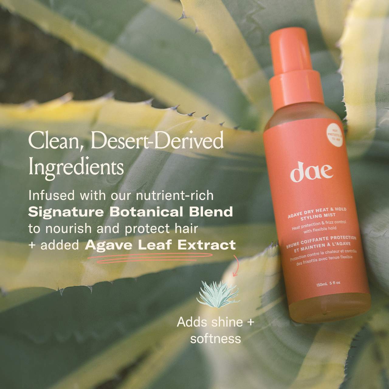 dae  Fairy Duster Volumizing Dry Shampoo Powder