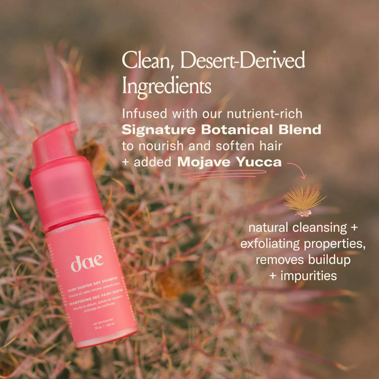 dae  Fairy Duster Volumizing Dry Shampoo Powder