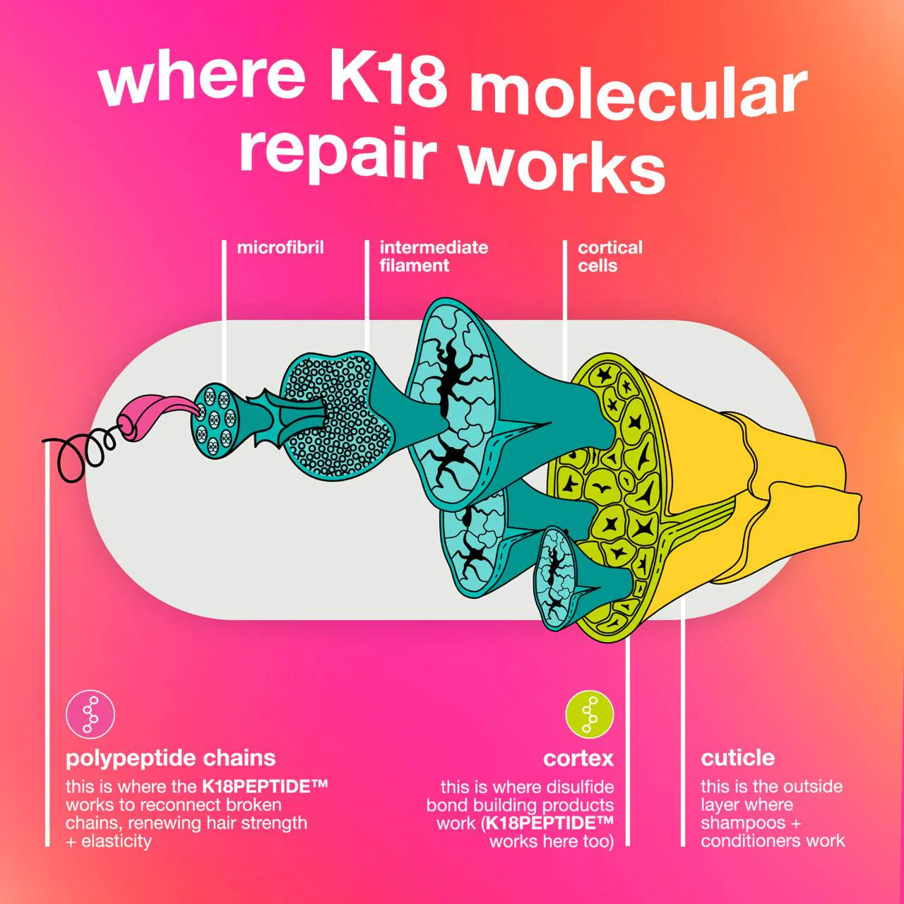 K18 Biomimetic Hairscience  Ultimate Reset + Repair Hair Mask and Shampoo Value Set