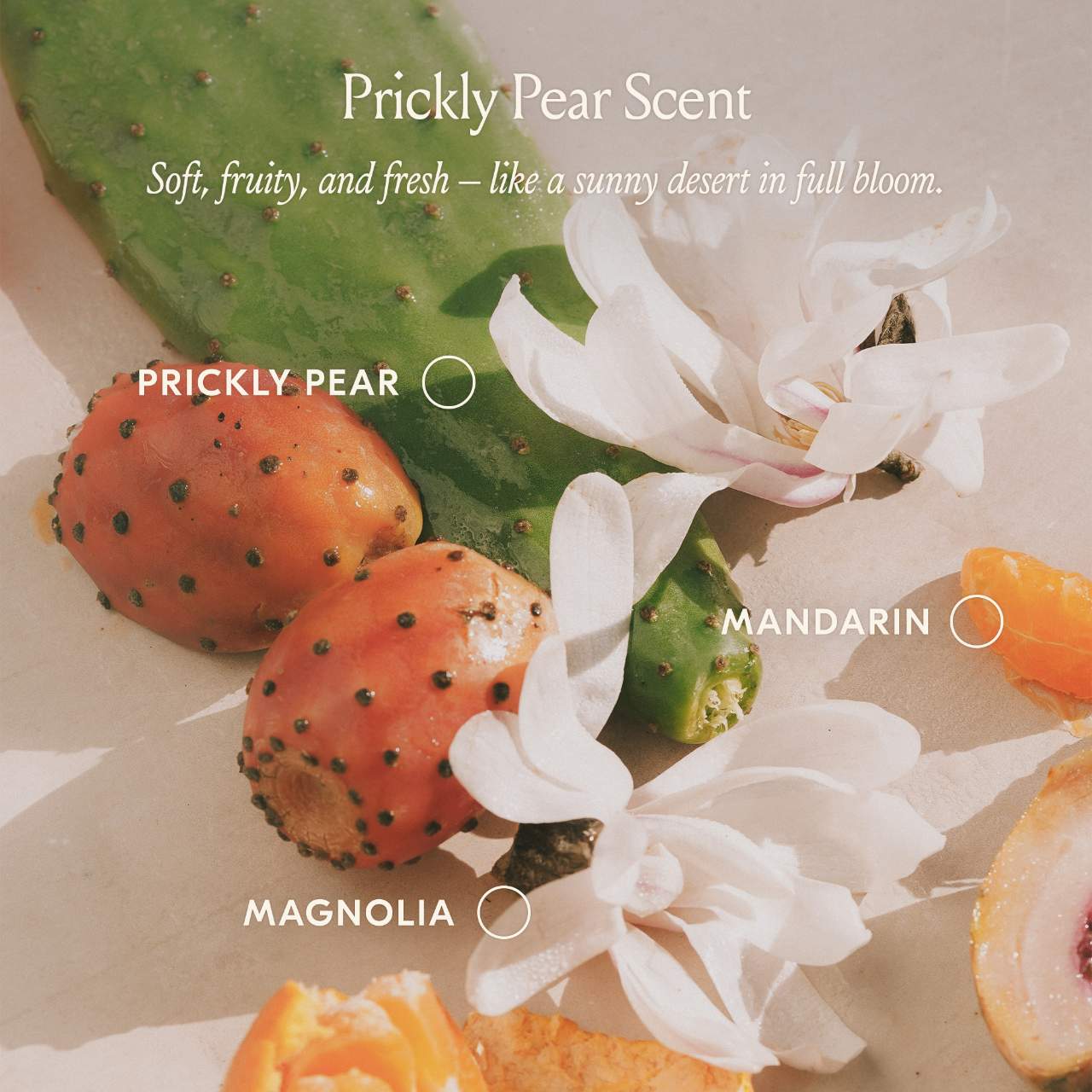 dae  Prickly Pear Hair Oil