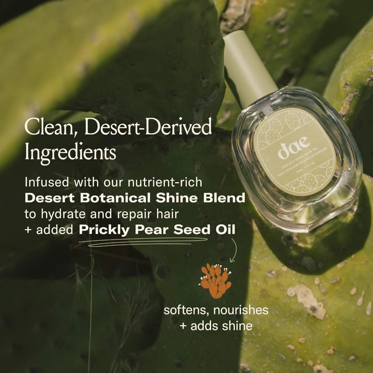 dae  Prickly Pear Hair Oil