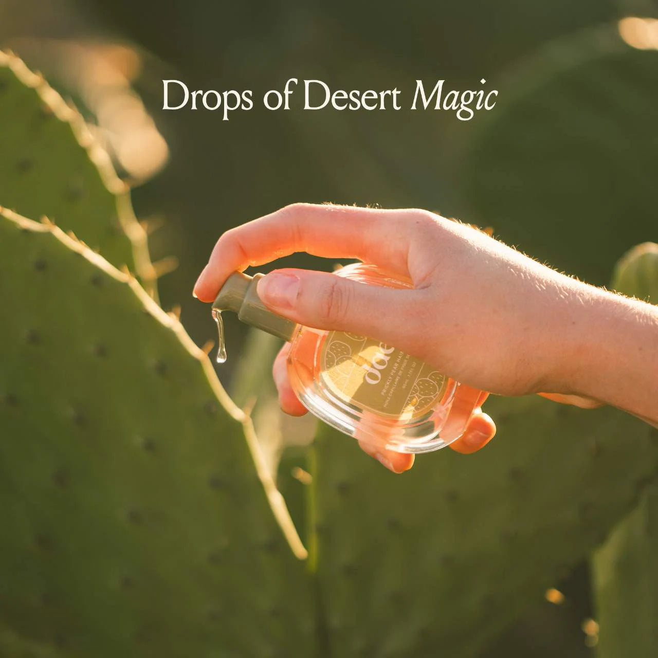 dae  Prickly Pear Hair Oil
