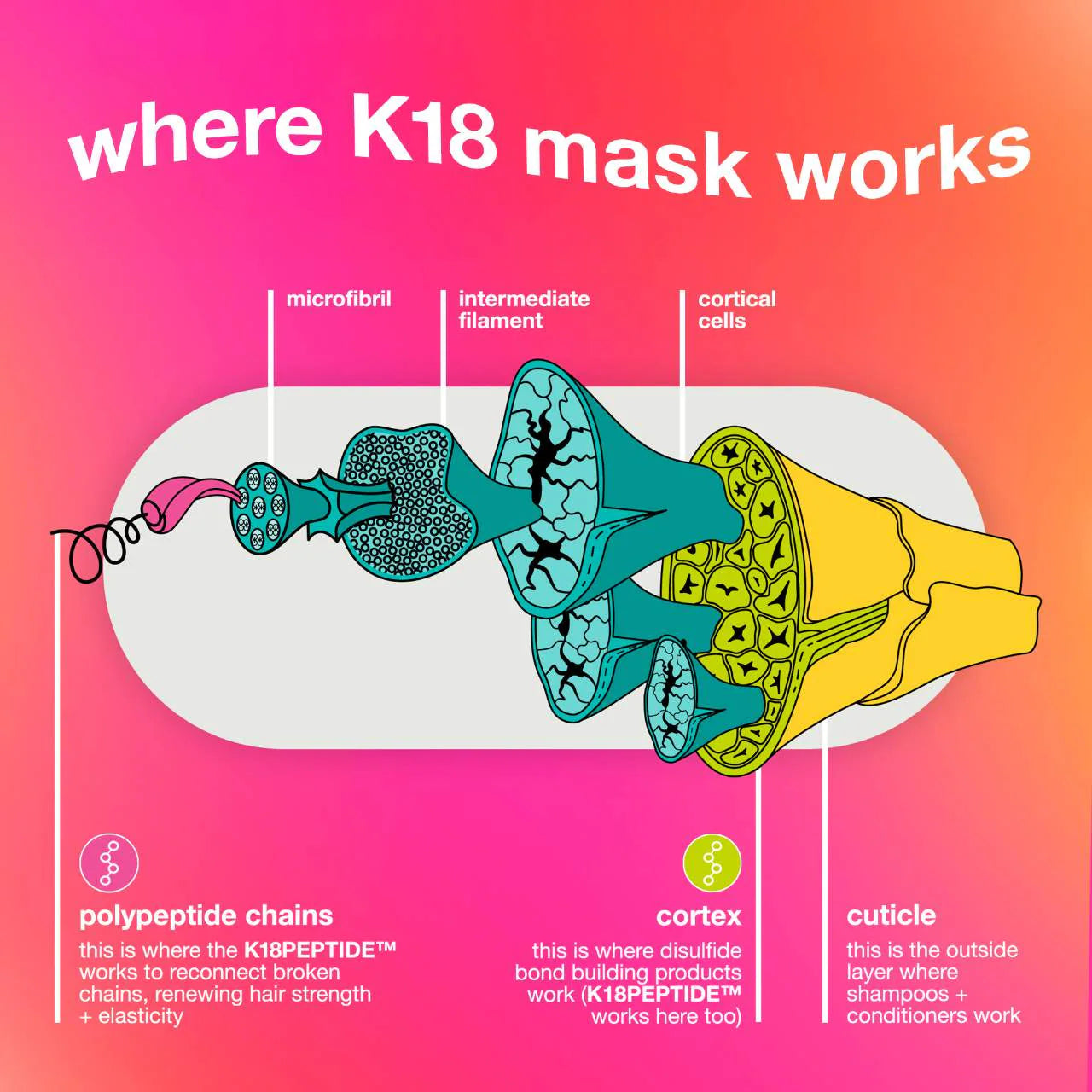 K18 Biomimetic Hairscience  Repair + Protect Minis Kit